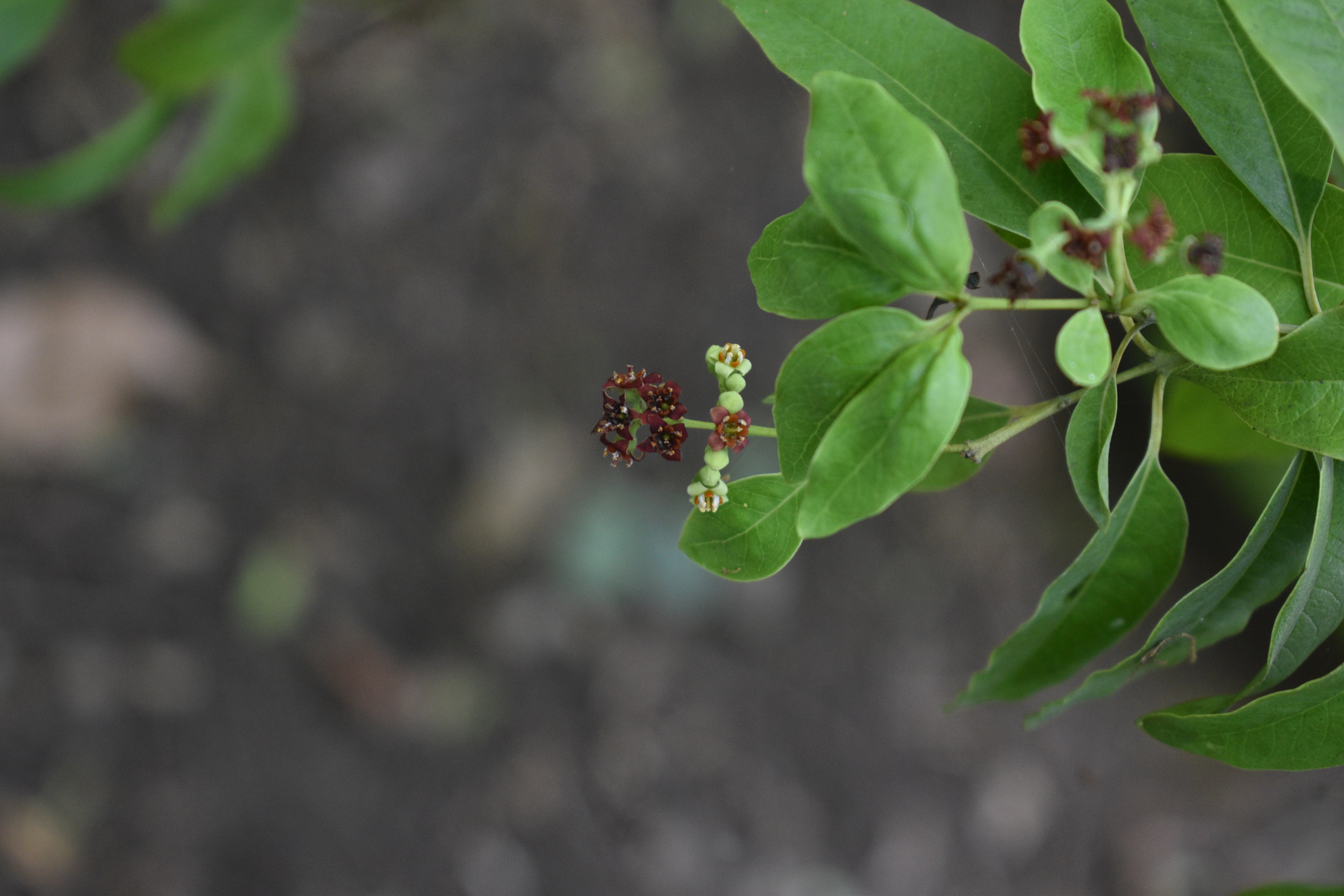 Depositphotos_791371138_XL